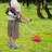 4-Stroke Engine Powered Grass Trimmer