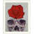 White Framed selected