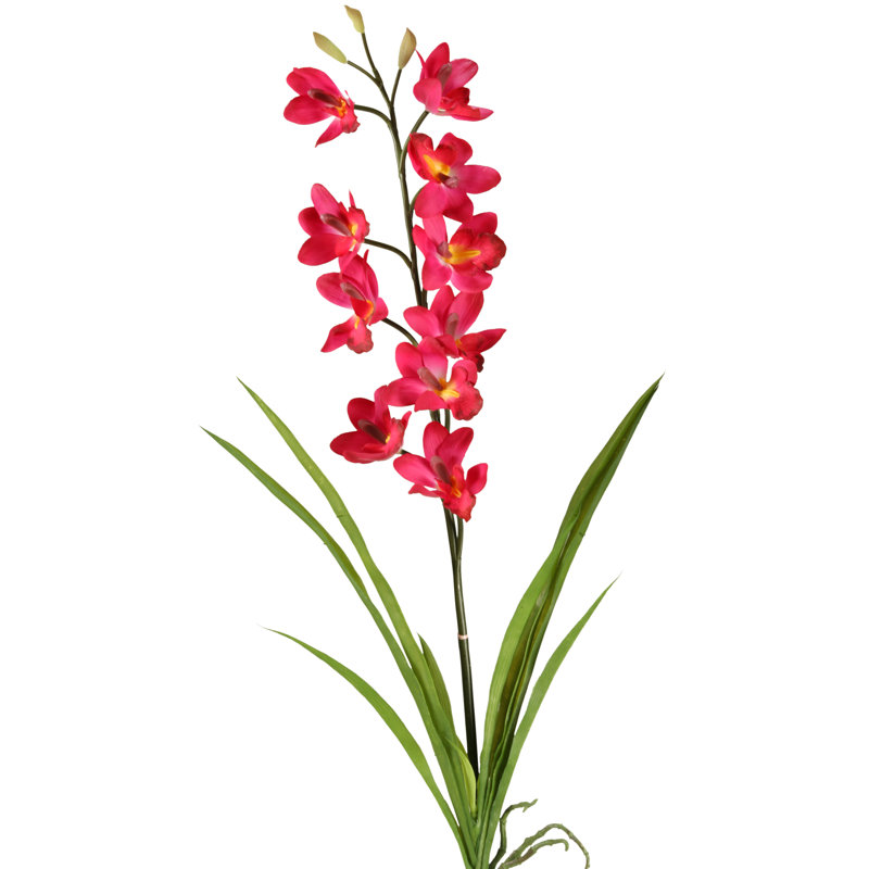 Orchid Arrangement