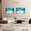 Paysage sous-marin Braming Stingray-107686832