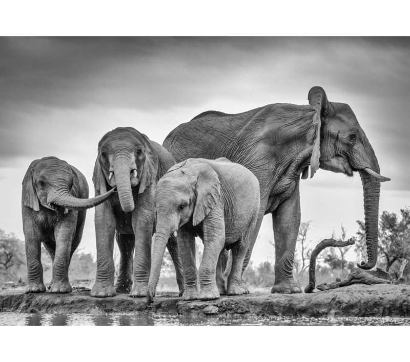 Wrapped Canvas Print, 50.8 cm H x 76.2 cm W