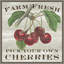« Farm Fresh cerises » par Sue Schlabach-Floater frame, impression sur toile