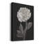 Fleurs noires et blanches IV - reproduction sur toile tendue-2126448747