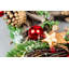 PVC 12cm Holiday Shaped Ornament