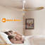 Ventilateur de plafond 60 po Uma-1335737925
