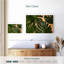 Décor de feuilles Harnek Monstera-108913422