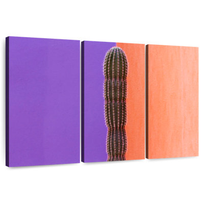 Harnek cactus contraste