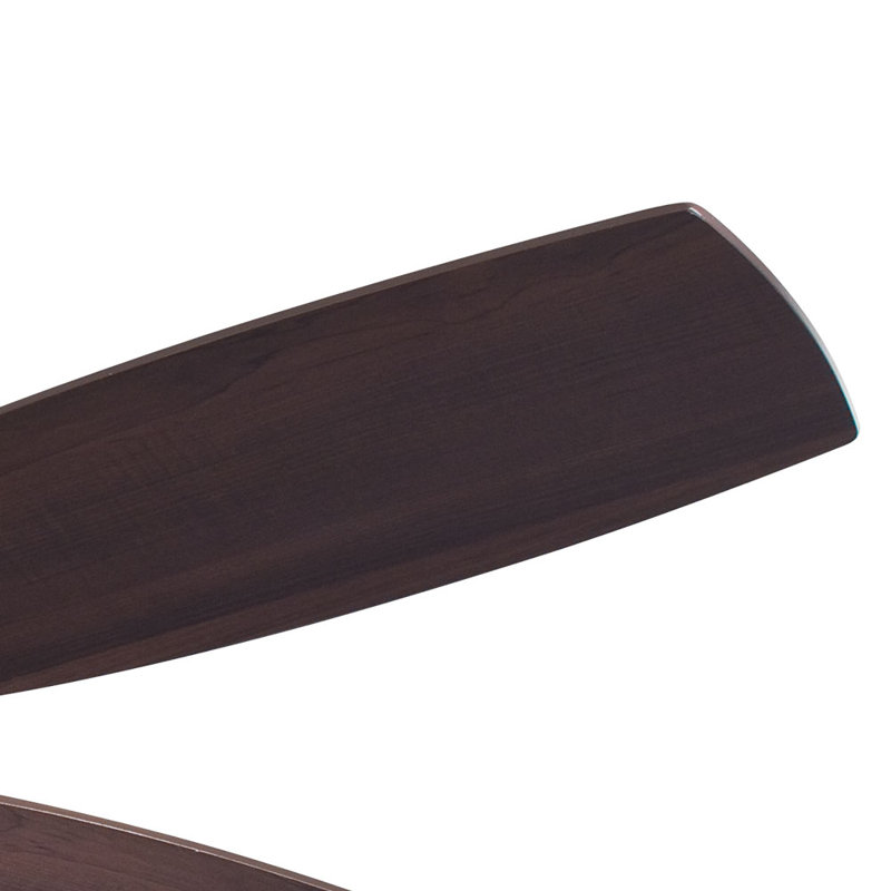 54" Timeless 5 - Blade Standard Ceiling Fan, Dark Brushed Bronze with Maple Blades