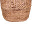 Scoop Basket with Handles-1324376860