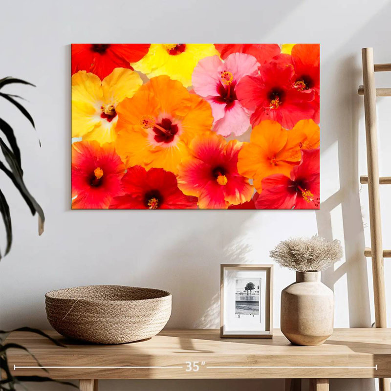 Harnek Hibiscus In Summer