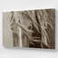 Gaceful Majesty, grande impression sur toile-1398393209