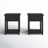 Kiara 18.5" W 1-Drawer Nightstand Set