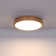 Perdomo Plastic LED Flush Mount