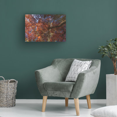 Wrapped Canvas Wall Art - Kurt Shaffer 'Amazing Autumn Japanese Maple tree 7' Wall Art for Living Room, Bedroom, or Office Décor  - 30x47