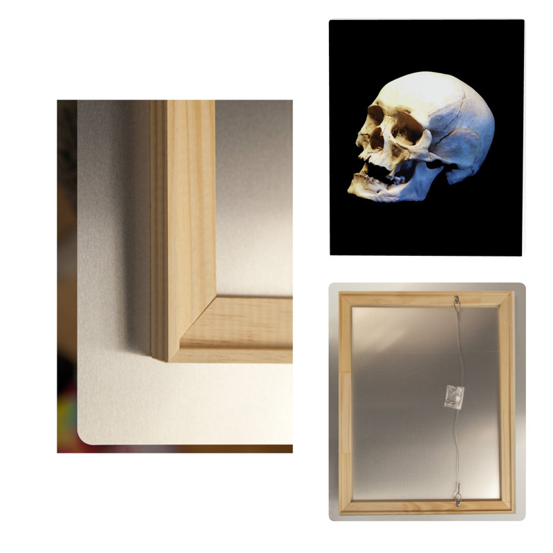 Étude de crâne humain — Portrait en métal mural, H 14 po x l 11 po