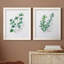Freshly Picked I - Ensemble de 2 peintures sur toile encadrées-1667209259-1667209257