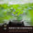 Envelor Potting Soil-70796764