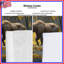 Rideaux Bears In Autumn Forest-430159255-430159252