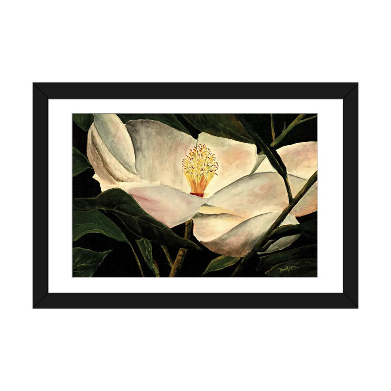 « magnolia fleur », reproduction sur toile, H 16 po x l 24 po x P 1 po, Papier d'art encadré noir, Blanc