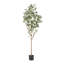 Eucalyptus artificiel Aanya en pot-1536042506
