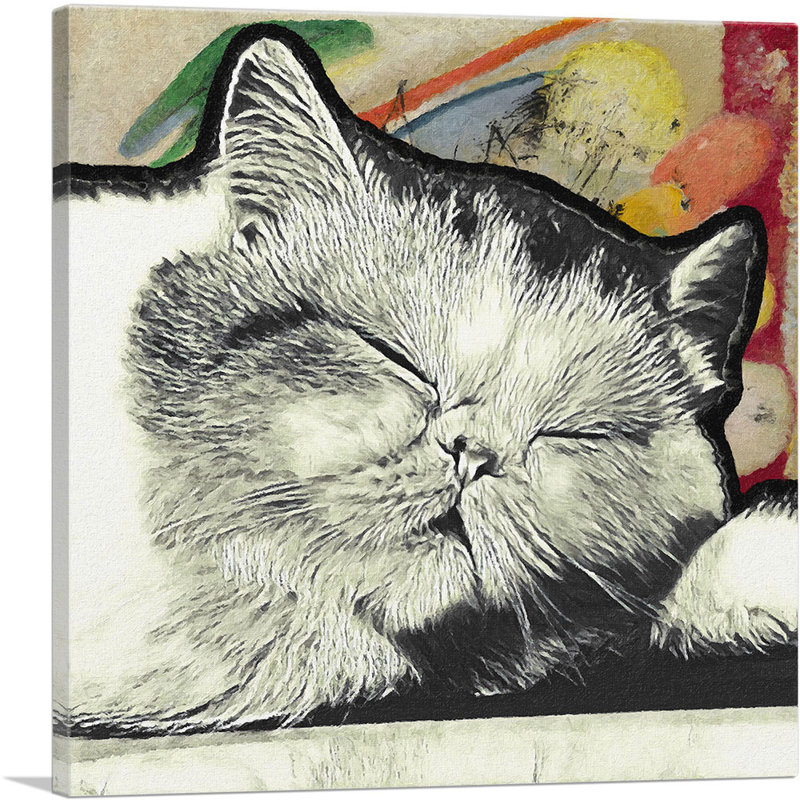 Exotic Shorthair Cat Breed Sleeping - Reproduction d'art sur toile tendue, H 26 po x l 26 po x P 1,5 po