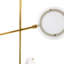Meridian 10 - Light LED Chandelier