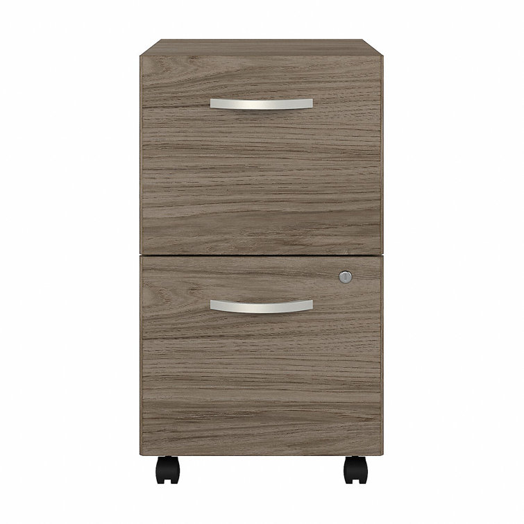Studio C 16'' Wide 2 -Drawer Mobile File Cabinet