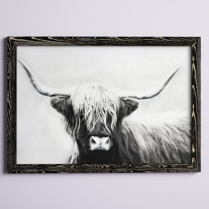 " Highland Longhorn ", 31" H x 44" W x 1" D, Black Framed Canvas