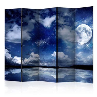 Room Divider - Magic Night II [Room Dividers]