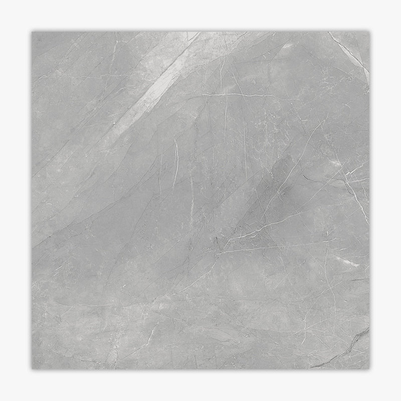 Carreau de mur et de sol en porcelaine 24 po x 24 po