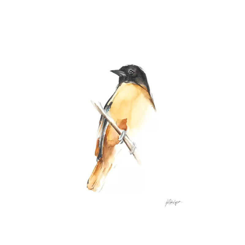 «Watercolor Songbirds VI» par Ethan Harper - reproduction d'art, Toile tendue, Pas de tapis, H 12 po x l 8 po x P 0,75 po