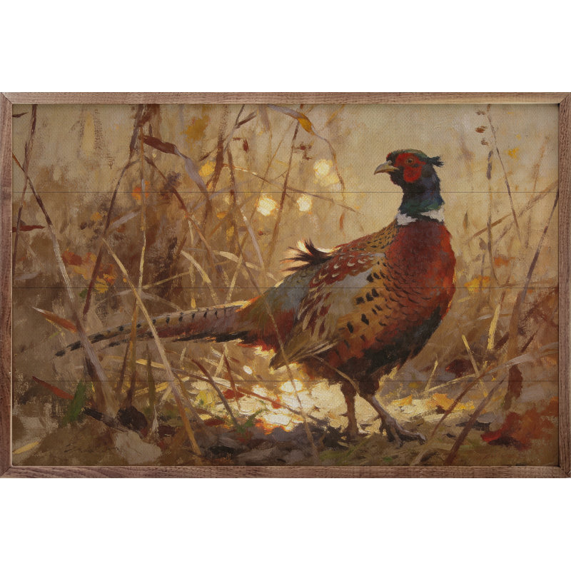 Faisan à collier dans l'herbe d'automne, H 16 po x l 24 po