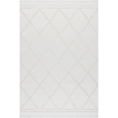 Amalie Trellis Fringe Area Rug