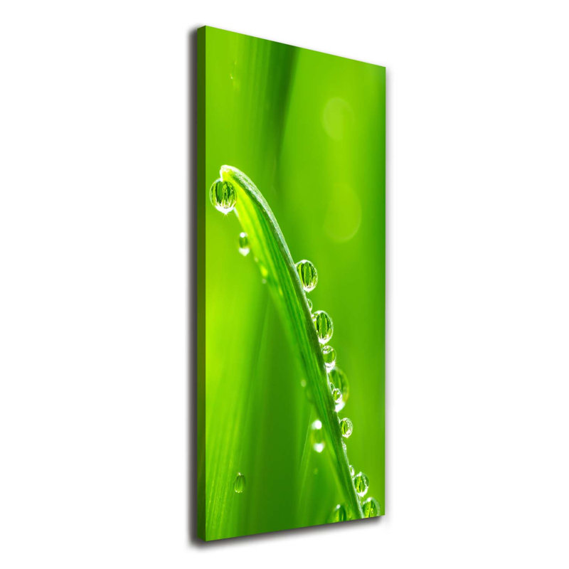 Blades Of Grass - Wrapped Canvas Print