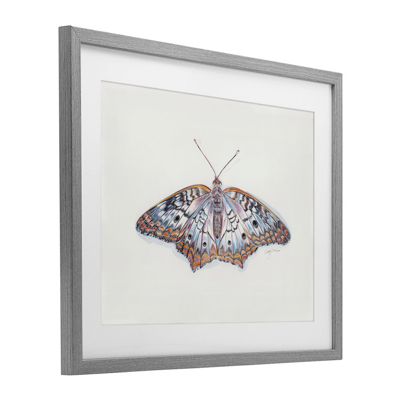 Délicat papillon de nuit avec motif détaillé encadré sous verre, conception de Cady, Cadre de ferme gris, H 13 po x l 16 po