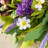 24"D Spring Lavender & Bird Nest Wreath