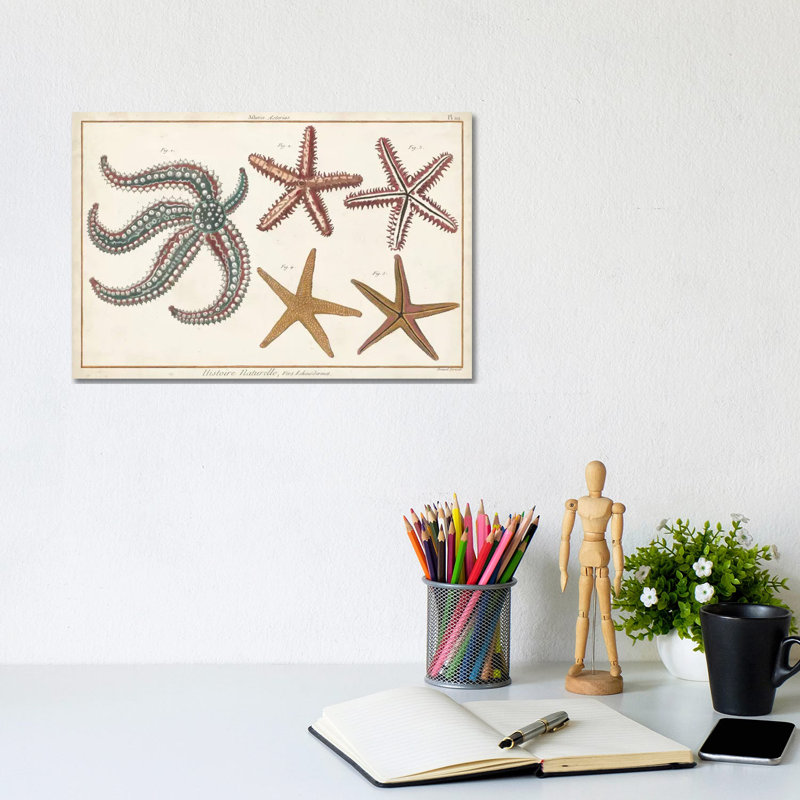 Denis Diderot - Wrapped Canvas Print, 20.32 cm H x 30.48 cm W