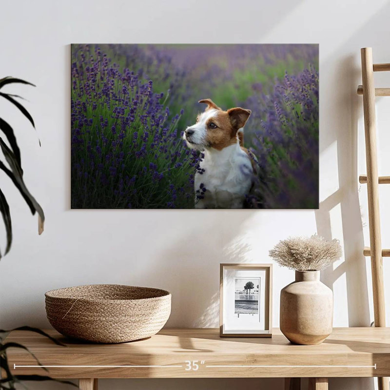 Crowle Jack Russell et lavande, H 16 po x l 24 po