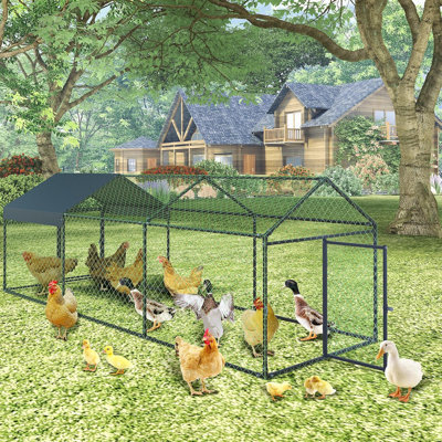 Walk In Chicken Run