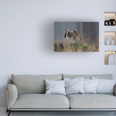 Milan Zygmunt Eurasian Eagle Owl Canvas Art