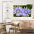 Harnek Radiant Chicory Flowers-108124014