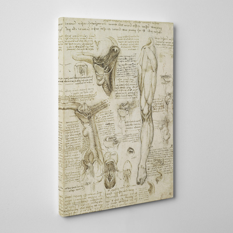 Leonardo Da Vinci - Wrapped Canvas, 76cm H x 50cm W