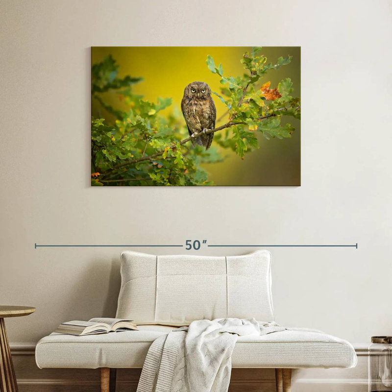 Owl Perching On Tree, 26" H x 39" W