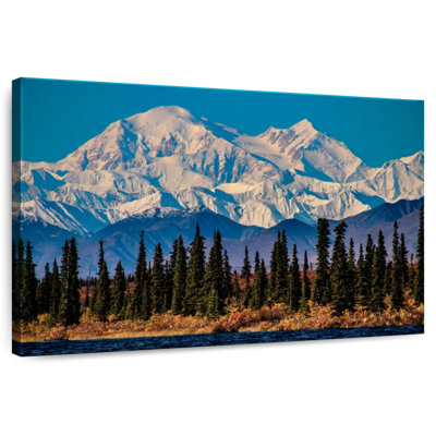 Forêt de pins d'Alvord Denali
