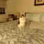 Photos des clients 3 de 4