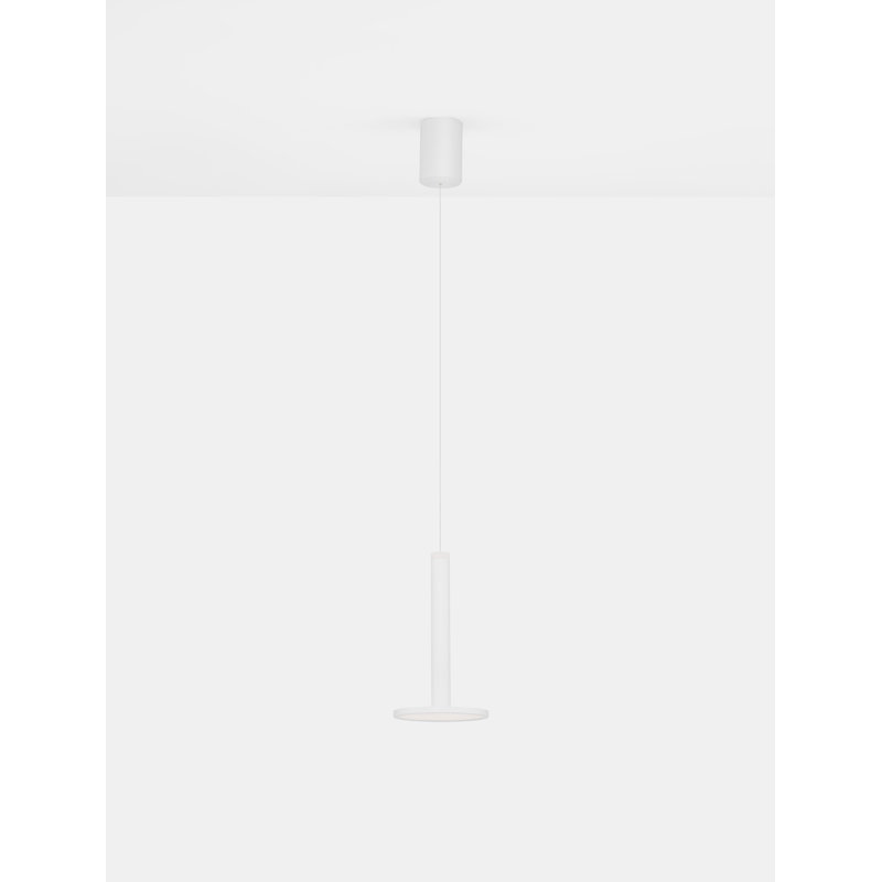 1 - Light White LED Unique/Statement Pendant