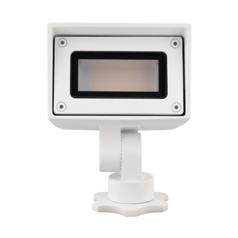 LED Flood Light
