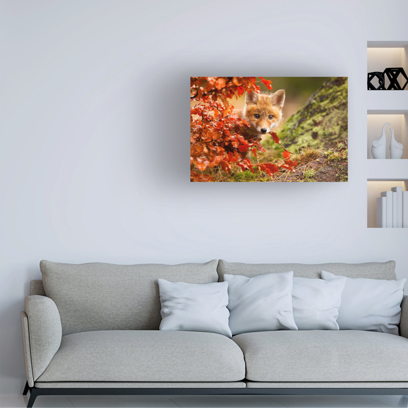 Art mural sur toile tendue - "Fox" par Robert Adamec pour décoration de salon, de chambre à coucher ou de bureau - 12 x 19