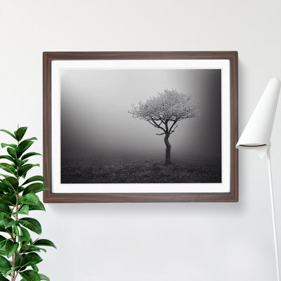 Lonely Tree - Single Picture Frame Print