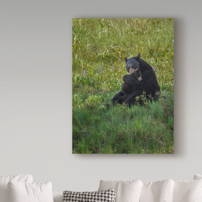 Fillmer «Black Bear Hugging Cub», reproduction de photo sur toile tendue